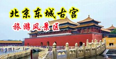 老鸡巴操老骚逼中国北京-东城古宫旅游风景区